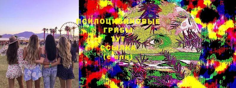 ссылка на мегу как войти  Красавино  Псилоцибиновые грибы Magic Shrooms 